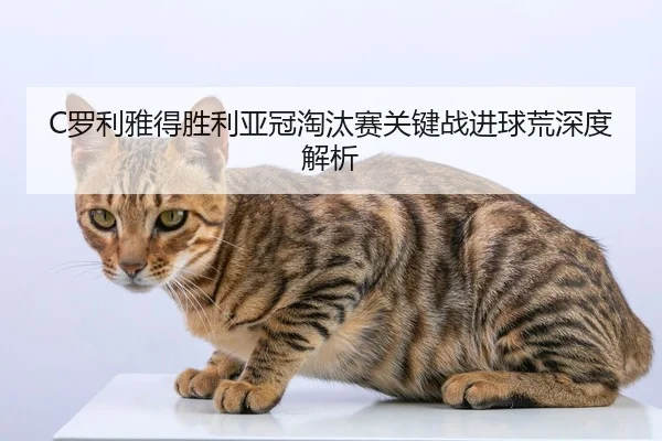 C罗利雅得胜利亚冠淘汰赛关键战进球荒深度解析
