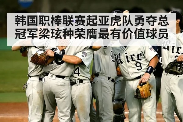 韩国职棒联赛起亚虎队勇夺总冠军梁玹种荣膺最有价值球员