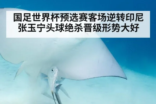 国足世界杯预选赛客场逆转印尼张玉宁头球绝杀晋级形势大好
